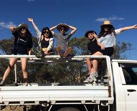 Springview Eco-Farm - Accommodation Mermaid Beach 1