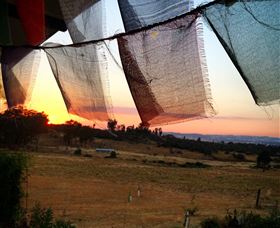 Springview Eco-Farm - Accommodation Mermaid Beach 4