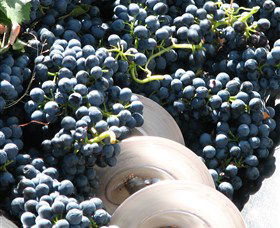 Orange Mountain Wines - Accommodation Mermaid Beach 2
