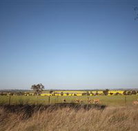 Cootamundra Bird Walk - Accommodation Mermaid Beach
