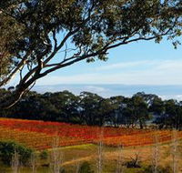Bloodwood Estate - Accommodation Mermaid Beach