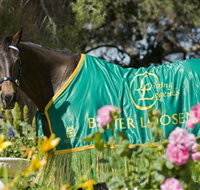 Living Legends The International Home of Rest for Champion Horses - Accommodation Mermaid Beach