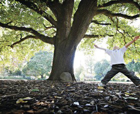 Albury Botanic Gardens - Accommodation Mermaid Beach 1