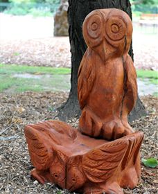 Albury Botanic Gardens - Accommodation Mermaid Beach 7