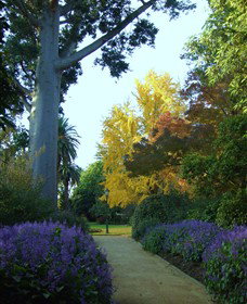 Albury Botanic Gardens - Accommodation Mermaid Beach 4