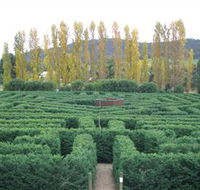 Brookfield Maze - Accommodation Mermaid Beach
