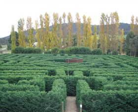 Brookfield Maze - Accommodation Mermaid Beach 0