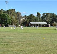 Coddington Park and Roberts Park - Accommodation Mermaid Beach