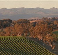 Angullong Wines - Accommodation Mermaid Beach