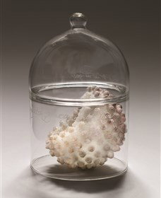 ANU School Of Art Gallery - Accommodation Mermaid Beach 2