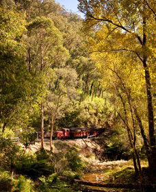 Walhalla Goldfields Railway - Accommodation Mermaid Beach 3