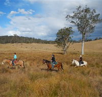 Chapman Valley Horse Riding - Accommodation Mermaid Beach