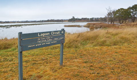 Lagoon Circuit Walking Track - Accommodation Mermaid Beach 0