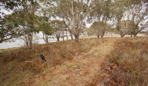 Lagoon Circuit Walking Track - Accommodation Mermaid Beach 1