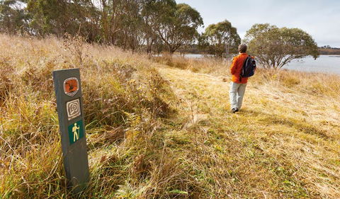 Lagoon Circuit Walking Track - Accommodation Mermaid Beach 2