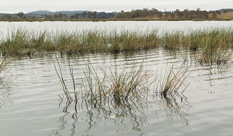 Lagoon Circuit Walking Track - Accommodation Mermaid Beach 3
