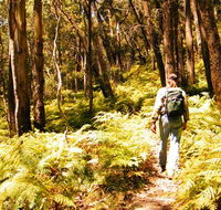Federal Pass - Accommodation Mermaid Beach