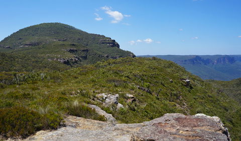 Mount Banks Road Cycle Route - Accommodation Mermaid Beach 0