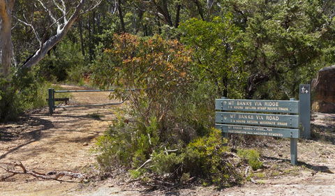 Mount Banks Road Cycle Route - Accommodation Mermaid Beach 1