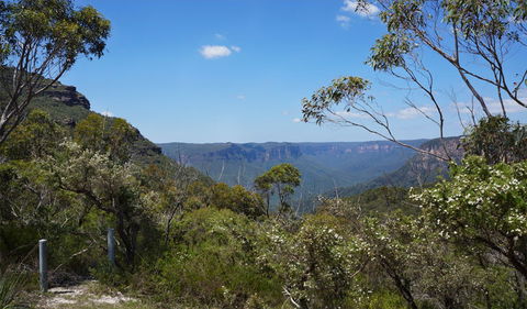 Mount Banks Road Cycle Route - Accommodation Mermaid Beach 2
