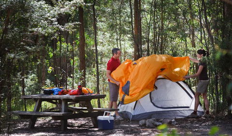 Bald Rock National Park - Accommodation Mermaid Beach 1