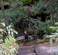 Leura Cascades Fern Bower - Accommodation Mermaid Beach