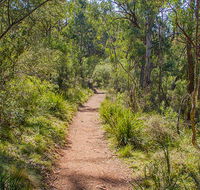 Mares Forest Creek walking track - Accommodation Mermaid Beach