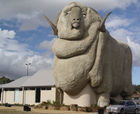 Big Merino - Accommodation Mermaid Beach 0