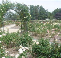 Victoria Park Rose Garden - Accommodation Mermaid Beach