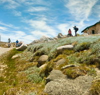 Mount Kosciuszko Summit walk - Accommodation Mermaid Beach