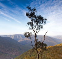 Salisbury Waters walking track - Accommodation Mermaid Beach