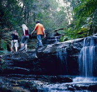 South Lawson Waterfall Circuit - Accommodation Mermaid Beach