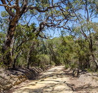 Howes trail - Accommodation Mermaid Beach