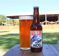 Feral Brewing Company - Accommodation Mermaid Beach