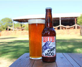 Feral Brewing Company - Accommodation Mermaid Beach 0
