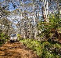 Barrington trail - Accommodation Mermaid Beach