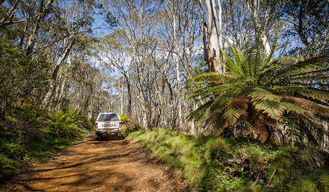 Barrington Trail - Accommodation Mermaid Beach 0