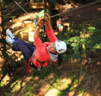 Trees Adventure Grose River Park - Accommodation Mermaid Beach