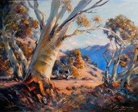 Kunama Snowy Mountains Centre For The Arts - Accommodation Mermaid Beach 0