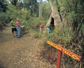 Bibbulmun Track - Accommodation Mermaid Beach 3