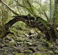 Mitchell River National Park - Accommodation Mermaid Beach