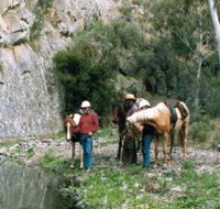 Yarramba Horse Riding - Accommodation Mermaid Beach