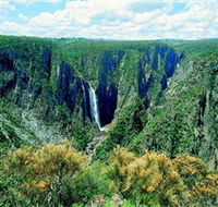 Wollomombi Falls - Accommodation Mermaid Beach