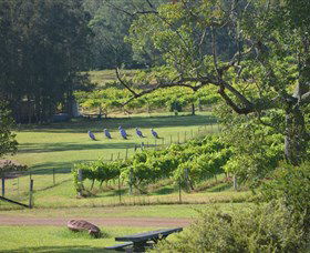 Wollombi Wines - Accommodation Mermaid Beach 8
