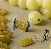 Hunter Valley Wine School - Accommodation Mermaid Beach