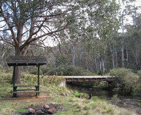 Barrington Tops State Forest - Accommodation Mermaid Beach 1