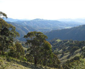 Barrington Tops State Forest - Accommodation Mermaid Beach 2