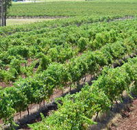 Pokolbin Brothers Wines Hunter Valley - Accommodation Mermaid Beach