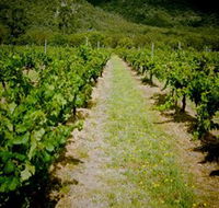 Gartelmann Wines - Accommodation Mermaid Beach