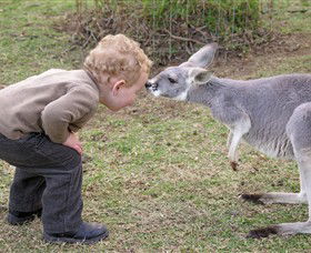 Hunter Valley Zoo - Accommodation Mermaid Beach 3